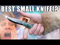 The best small knife ever a new masterpiece favourite knife