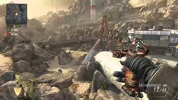 Black Ops 2 - Shots On Bots #2