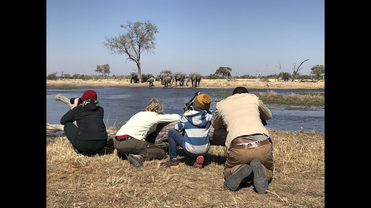 Tansania Cinematic: Safari-Abenteuer!