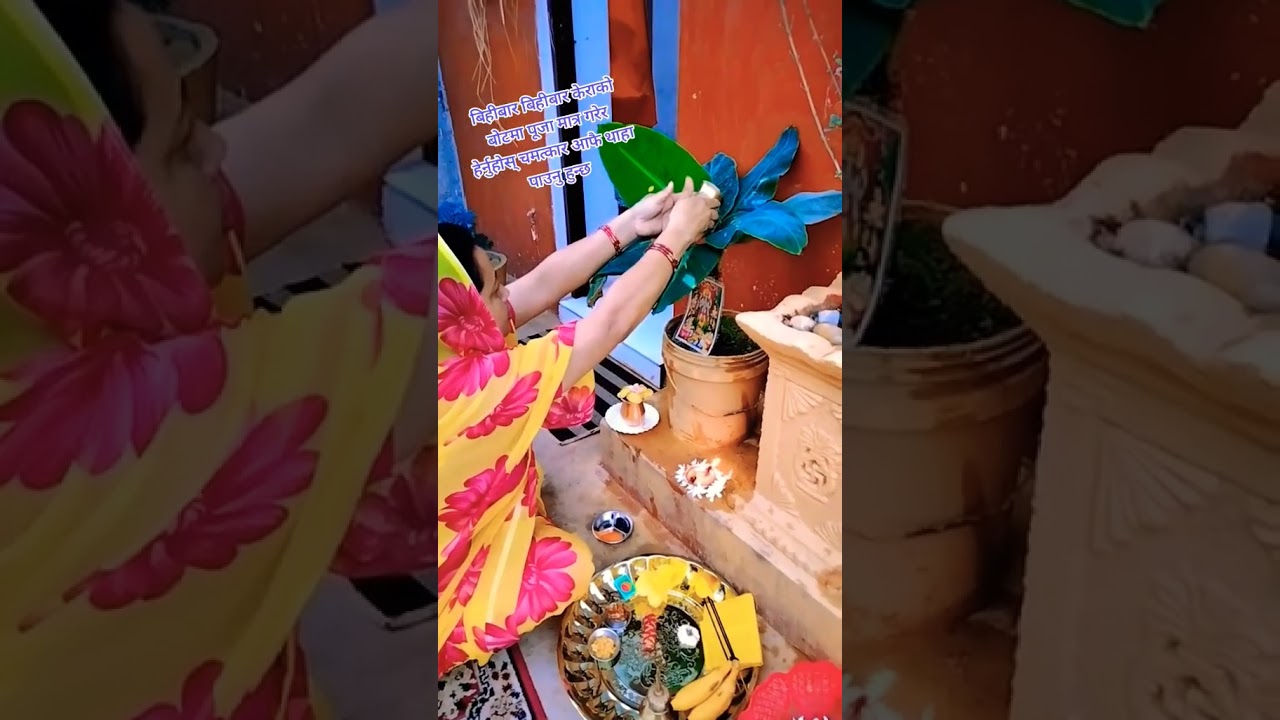 बिहीबार केराको बोटमा पूजा गर्ने तरिका 