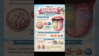 🍬 Why Does Sugar Taste Sweet? 🤯 | Science Explained in Seconds!#viralvideo #sciencevisuals#trending