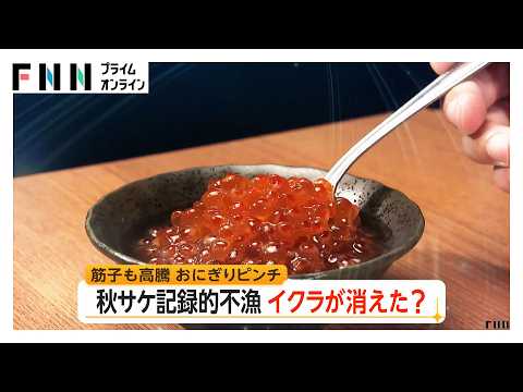 “秋サケ”記録的不漁でイクラ高騰「もう扱えない商材」 アメリカ産で食べ放題も 北海道の海で“ハワイの魚”が豊漁（2026年10月14日）