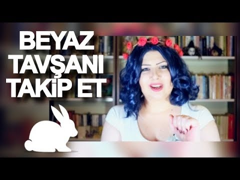 Video: Beyaz Tavşanı Takip Et