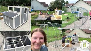 The Lazy Compost System I Built Into My Chicken Run [+ Build a Coop with Me!]