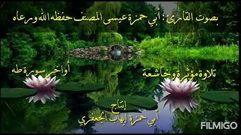 من روائع التلاوات بصوت القارئ أبي حمزة عيسى المصنف من أواخر سورة طه