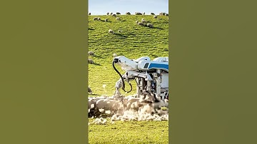 Farming revolution starts here: autonomous robots #Robot #FutureFarming #Sheep #Shorts #ViralTech