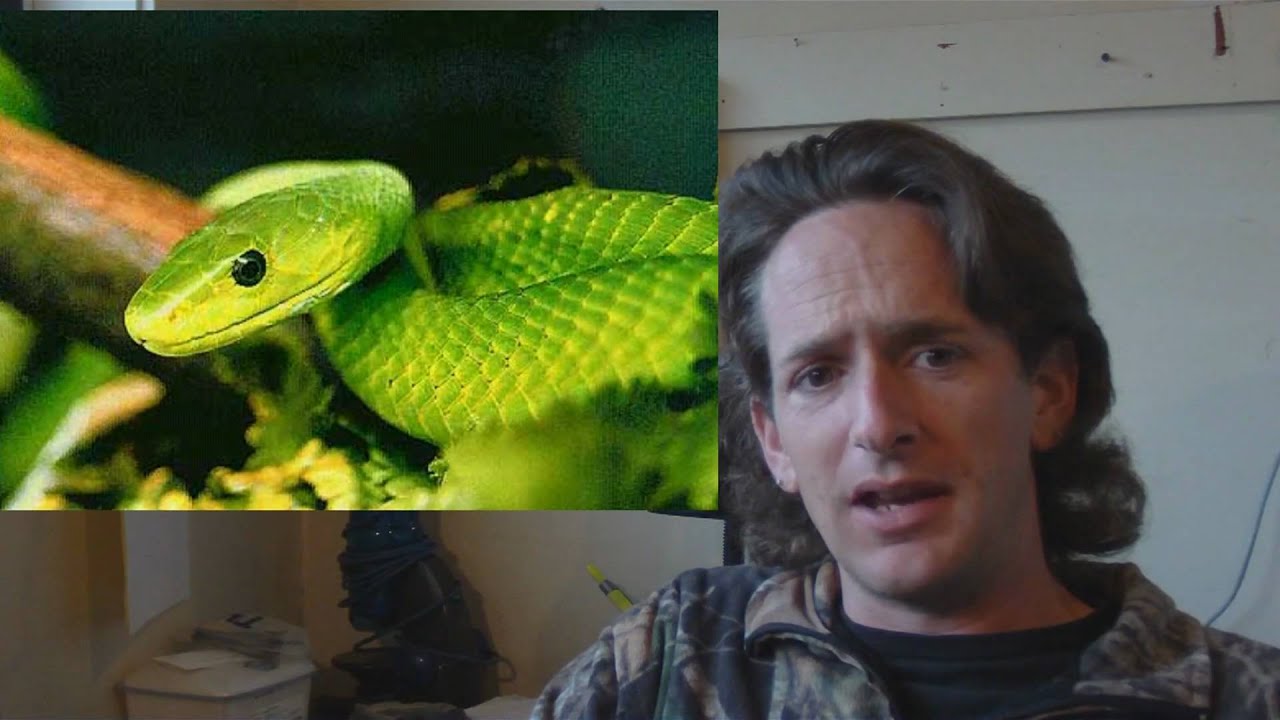 newsame Reptile News: Woman recovering on opened snake season