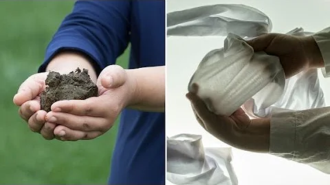 This dress was made of manure