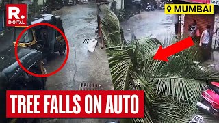 Mumbai Dust Storm: Video Captures Moment Tree Falls On Auto In Jogeshwari