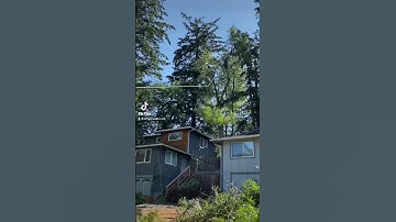 Ziplining #trending #fullsendordontsend #reels #ziplining #worksmarternotharder #treeremoval