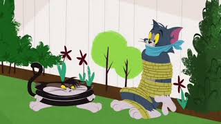 Tom and Spike tied up