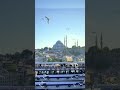 استانبول زیبا تور استانبول کشتی تفریخی کشتی ترکیه    