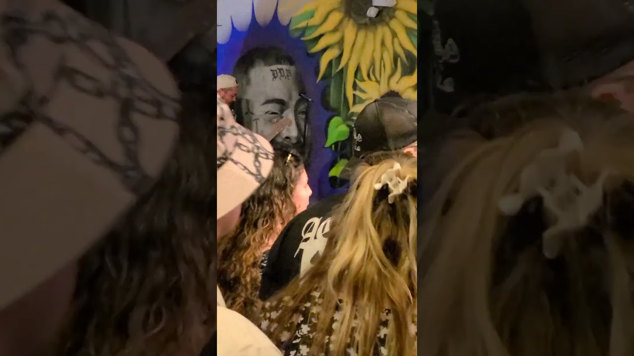 Halibut Head - Anything Anything (live at SMASH Sacramento 08.29.25)