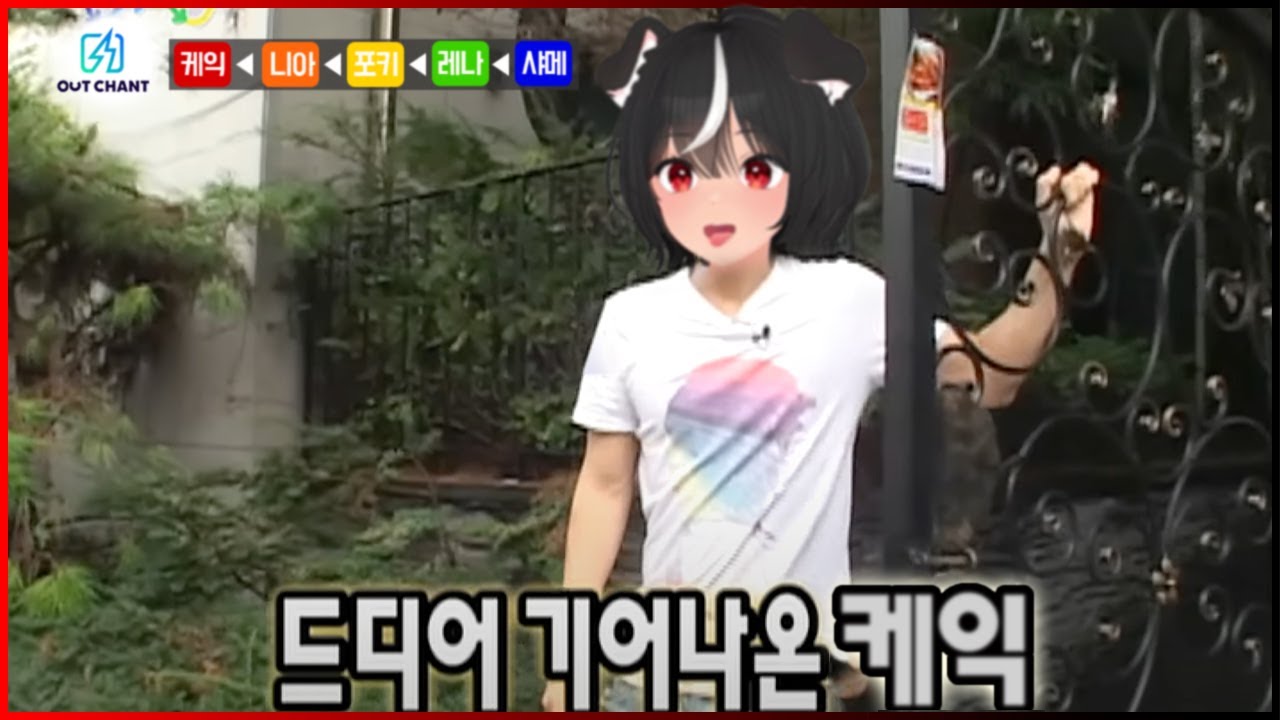 [독케익] 독서운 이야기