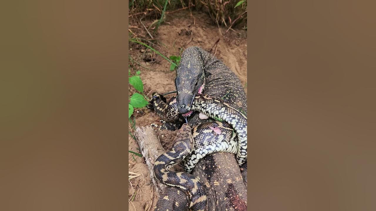 Pornografik filmlarni va etno jinsiy aloqani onlayn tomosha qiling