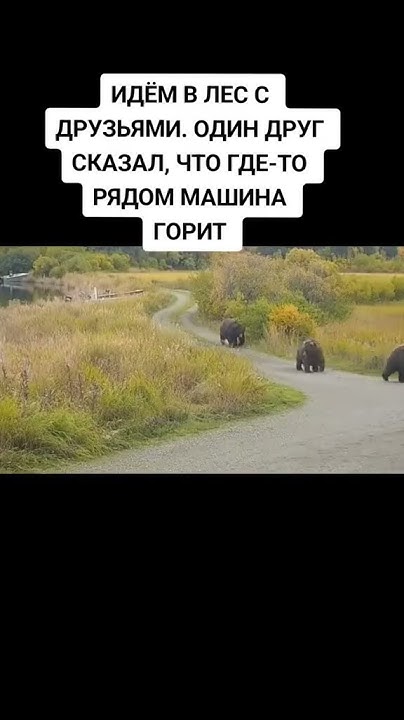 идет медведь по лесу,видит,машина горит) - YouTube