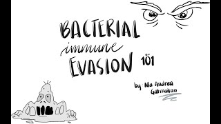 Bacterial Immune Evasion: Phagocytic and Non-Phagocytic Pathways