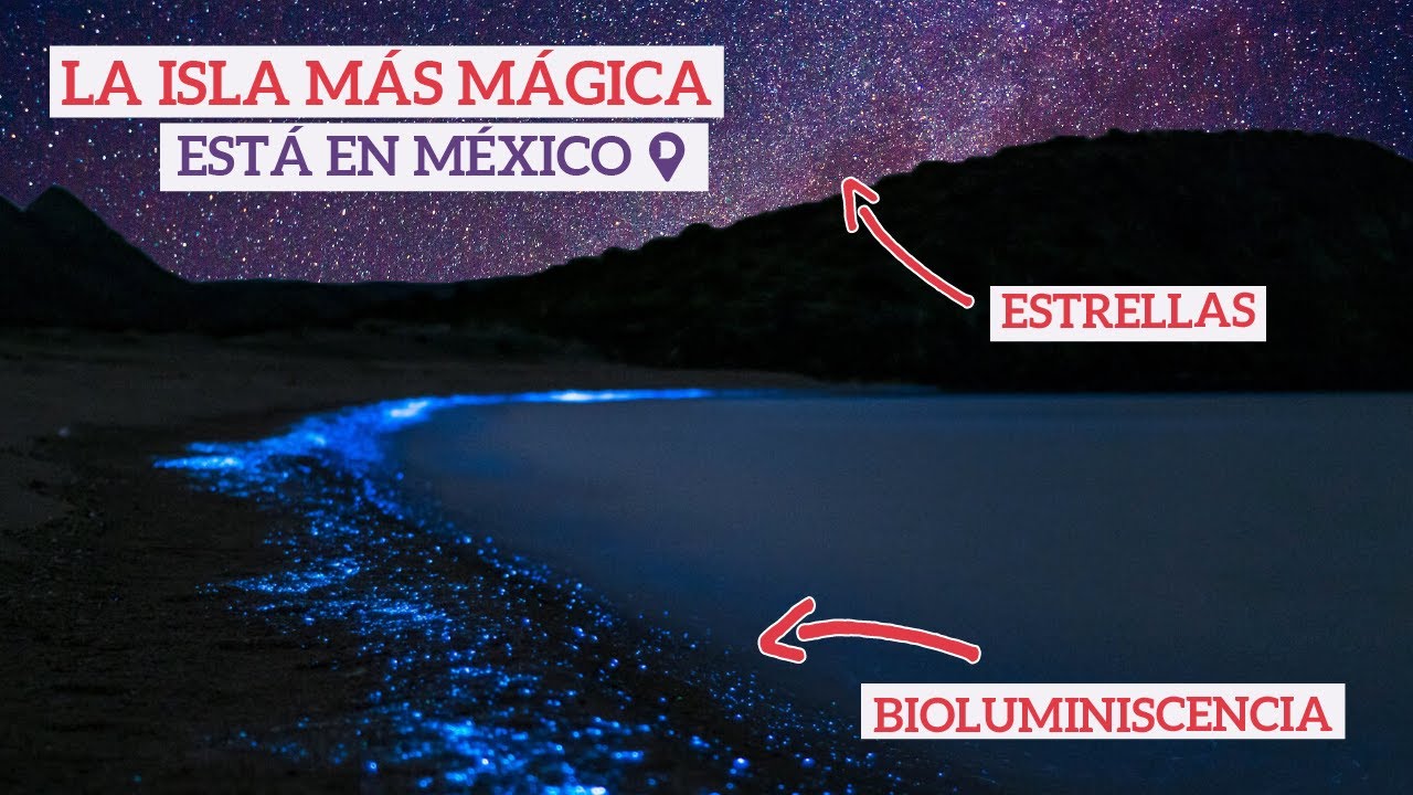 Chacahua - ¡La Isla que nunca habías escuchado! - Puerto Escondido #5 - DaliaGlo