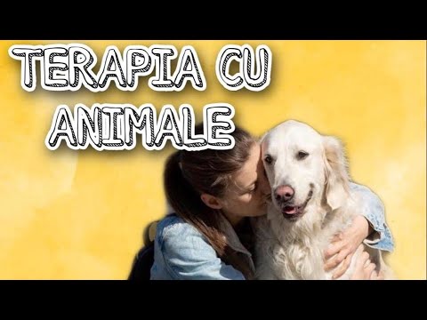 Video: Terapia Cu Animale și Tipurile Ei