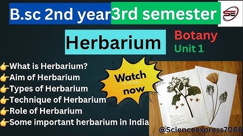 Herbarium  technique | BSc 2nd Year| 3rd Semester| Herbarium  preparation |Botany Practical