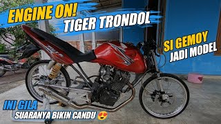 HEREX Style - REVIEW TIGER TRONDOL, DENGAR SUARANYA AUTO JATUH CINTA