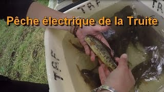Pêche électrique de la Truite