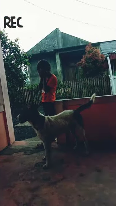 Orang stel jago ahir ahir manangis