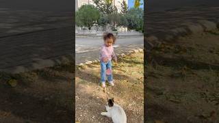 Sokakta Ki Bütün Kedilere Salam Yediriyoruz Şfetbeniöneçıkar