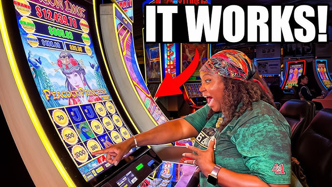 U mendan mushukini yalashimni soradi (video)