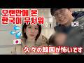 일본인 아내가 오랜만에 가는 한국을 무서워 하는 이유【한일커플/국제커플】