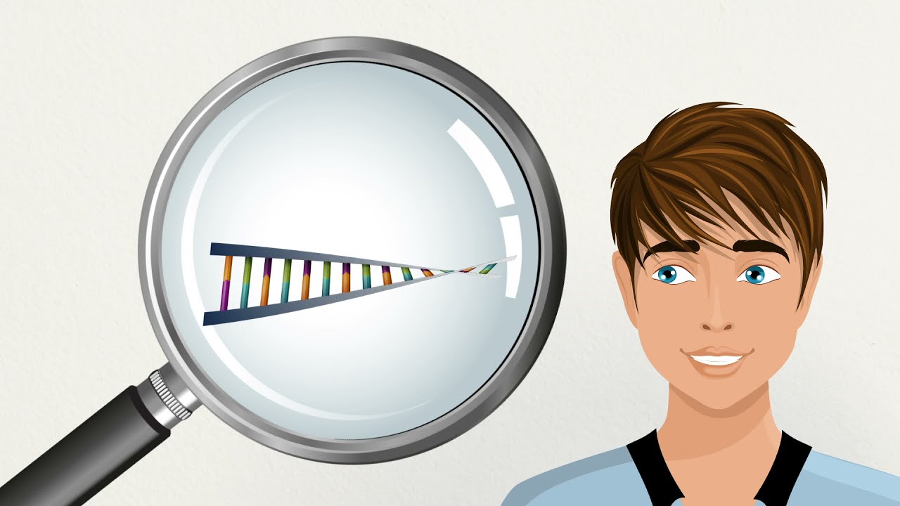 From Nerve Development to Vision   Dr Mary Whitman, Boston Children’s Hospital