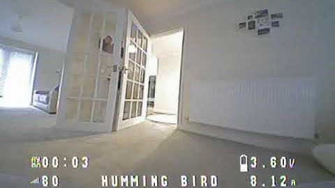 NewBeeDrone Hummingbird F4 Pro