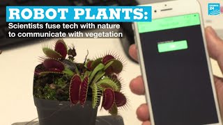 'Robot plants': Scientists fuse tech with nature to communicate with vegetation screenshot 4