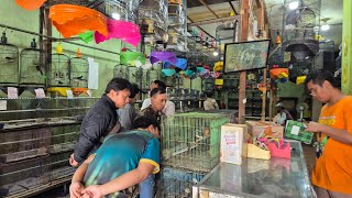 Come And Get Murai Medan Trotol Pastol For Only 160k Also Accept Deposits 089628101130