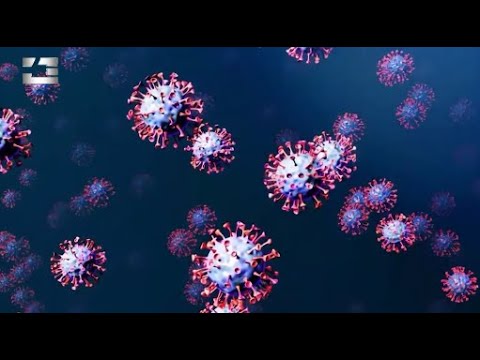 \"რუსეთში გაჩენილი კორონავირუსის ახალი შტამი საქართველომდეც მოაღწევს\"