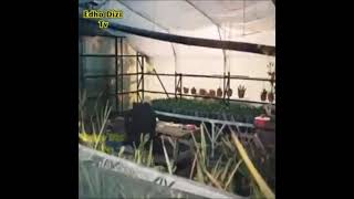 Hurşit & Fahri Babanın Ölümü Edho