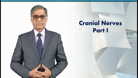 Cranial Nerves Part 1 | Animal Form & Function 1 (Theory) | ZOO516T_Topic052