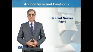 Cranial Nerves Part 1 | Animal Form & Function 1 (Theory) | ZOO516T_Topic052