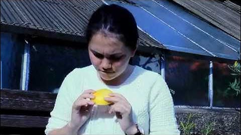 UWCRBC | Welcome to House 1