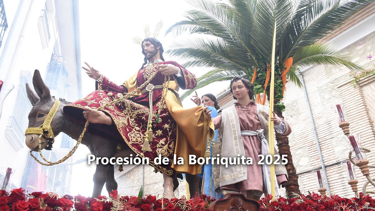 Procesión de la Borriquita 2025