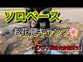 【ソロベース】バブ、焚き火台を買う【お花見キャンプ