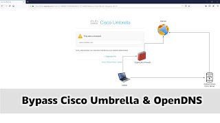 Bypass Cisco Umbrella & OpenDNS website block screenshot 3