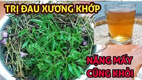 Bài Thuốc Cây Xấu Hổ Trị ĐAU XƯƠNG KHỚP, ĐAU LƯNG, CHÂN TAY TÊ BẠI lâu năm nặng mấy cũng khỏi