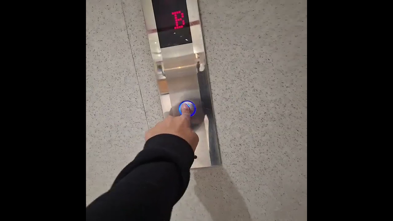 ١٩ فبراير ٢٠٢٦