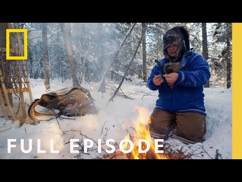 Видео: Аласкачууд хаанаас ирсэн бэ?