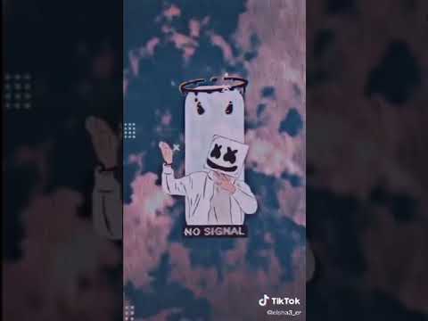 نغمه العصفوره