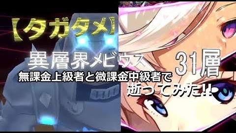 【タガタメ】無課金上級者と微課金中級者で「異層界メビウス31層」逝ってみた!!【THE ALCHEMIST CODE】