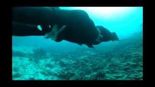 Underwater Proximity Free-Gliding Free Fall