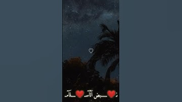 { أَفَلَا يَنظُرُونَ إِلَى الْإِبِلِ كَيْفَ خُلِقَتْ }[ سورة الغاشية : 17 ]