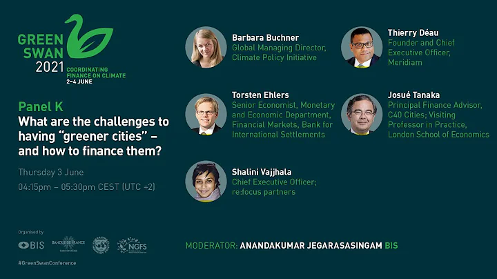 Panel K | Green Swan Conference 2021